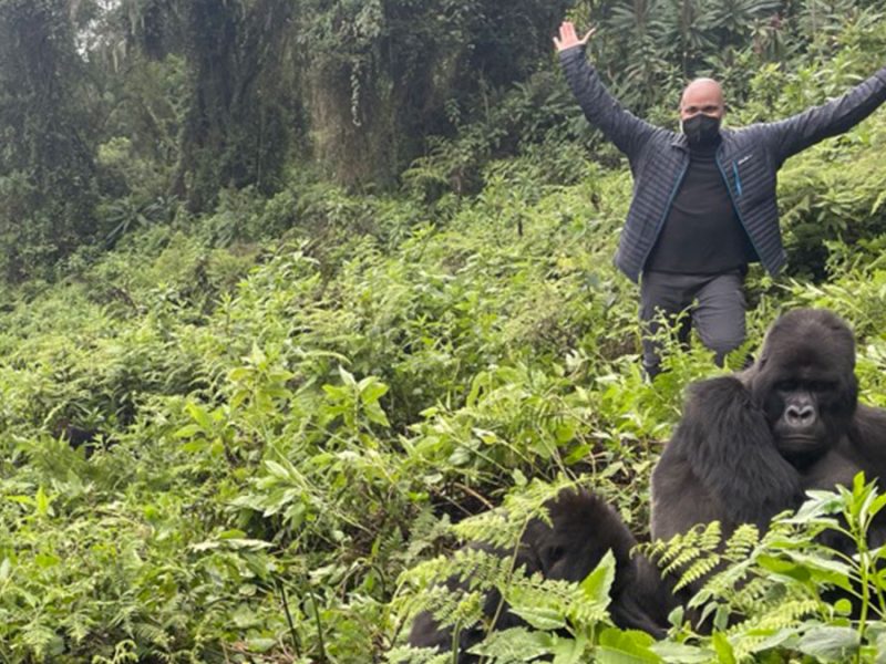 Bwindi Impenetrable National Park Bwindi Impenetrable National Park