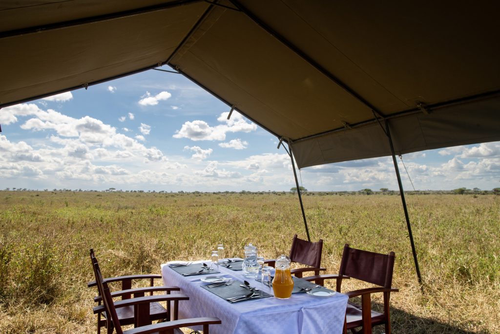 Tanzania Uganda Rwanda Safaris