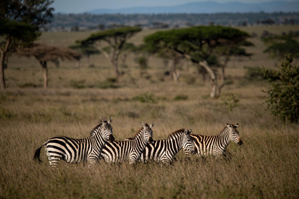 Kidepo Valley National Park