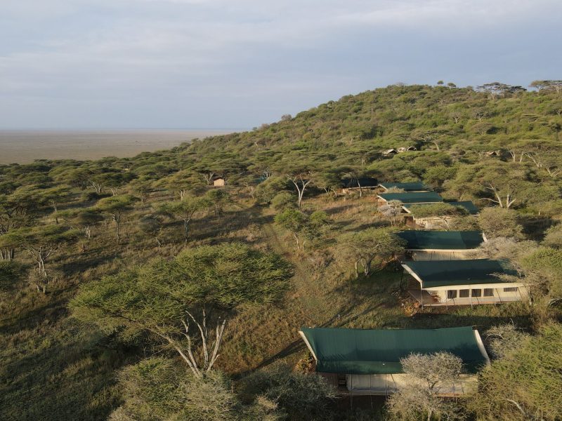 Safari Drive to Kasese 7 Days Rwanda Uganda Safari