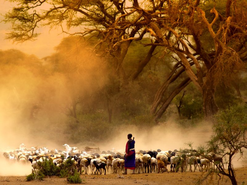 9 Days Kenya Uganda Safari 9 Days Kenya Uganda Safari