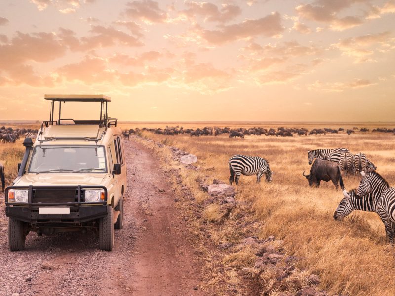 Best Time to Visit Lake Manyara National Park Best Time to Visit Lake Manyara National Park