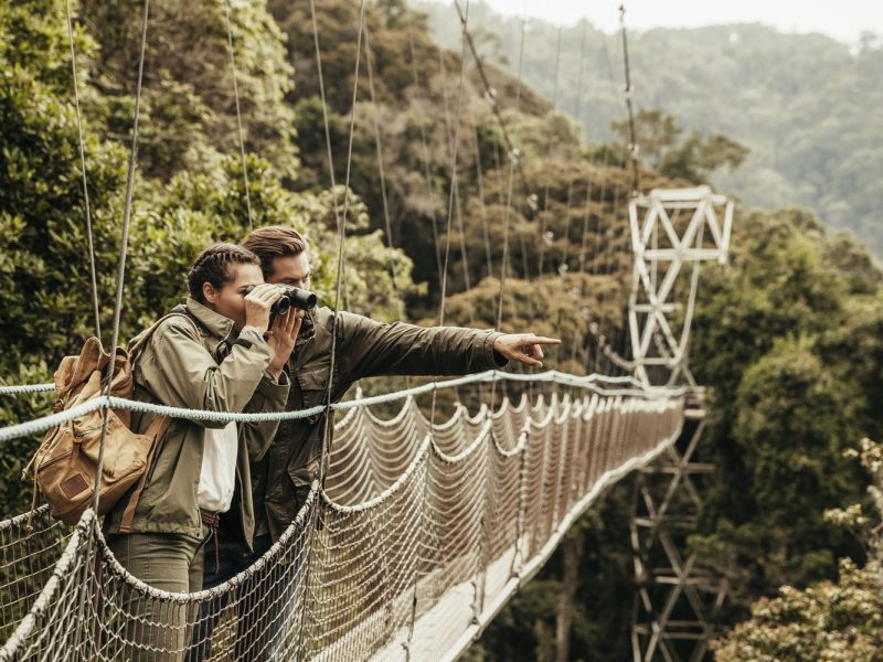 Chimpanzee Trekking in Rwanda Chimpanzee Trekking in Rwanda