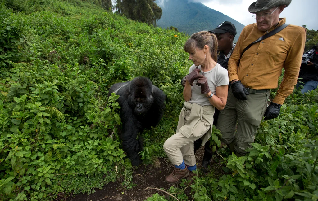 Gorilla Trekking Safety in Rwanda