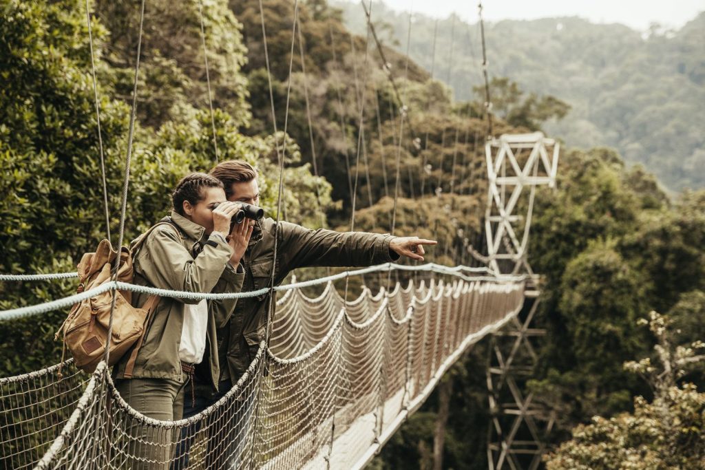 Backpacking for Solo Travelers to Nyungwe