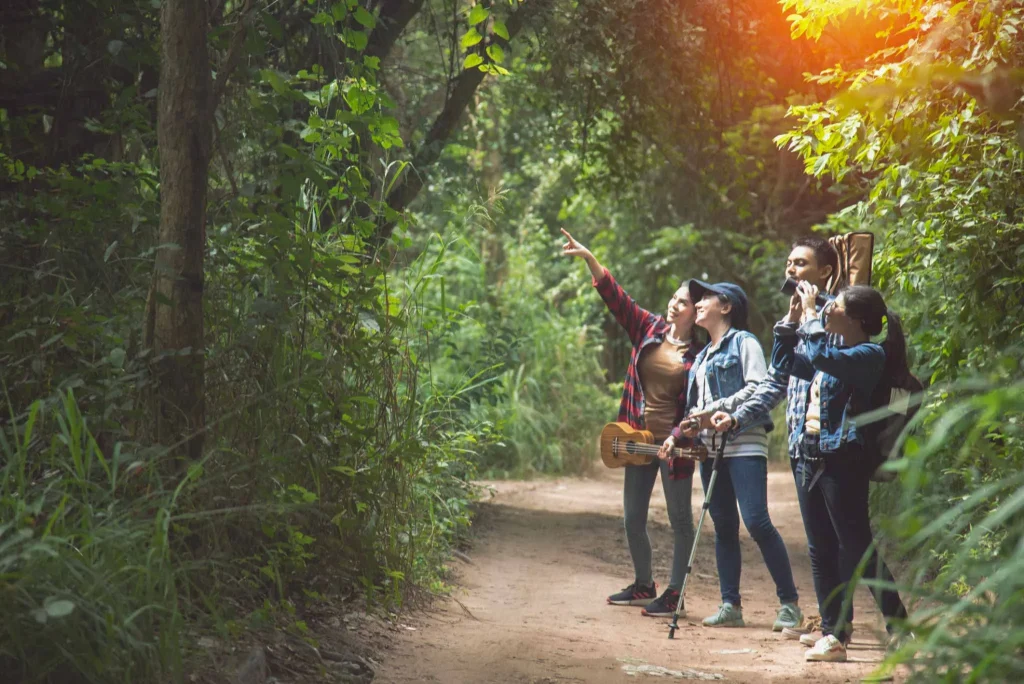 Is It Possible to Do a Crater Rim Walk in Ngorongoro?
