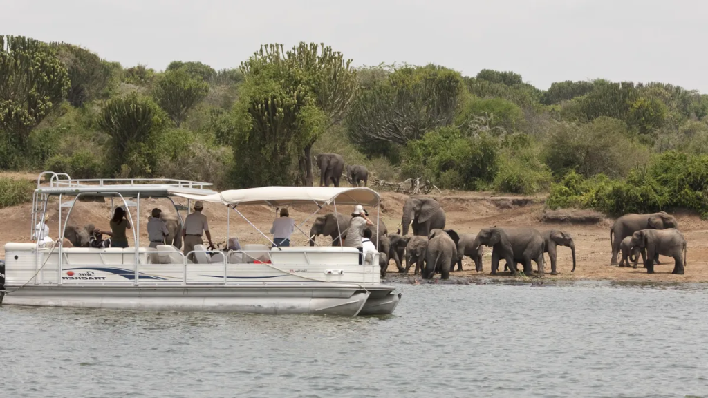 Boat Cruise Safaris in Akagera
