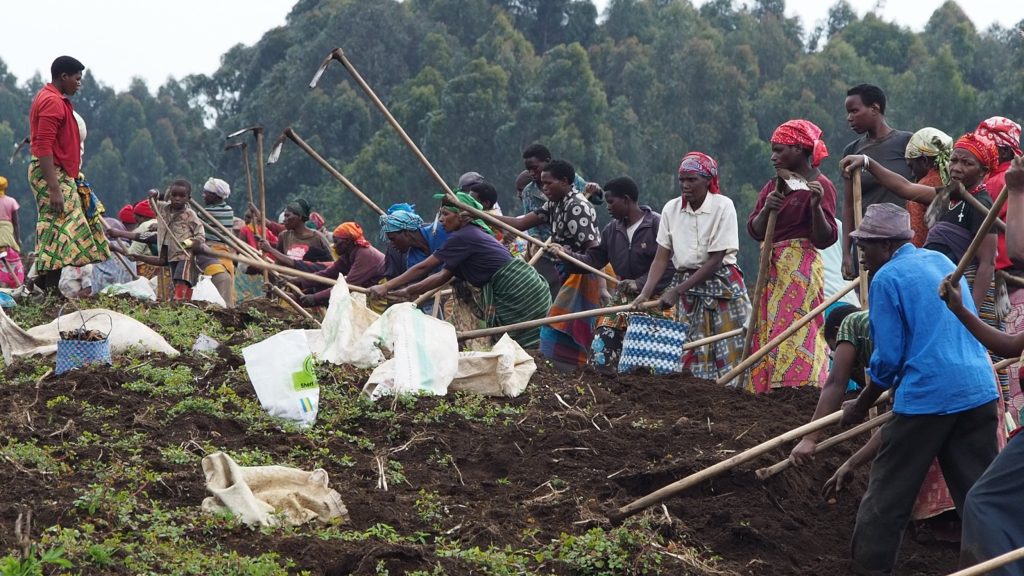 The Sacola Community in Rwanda