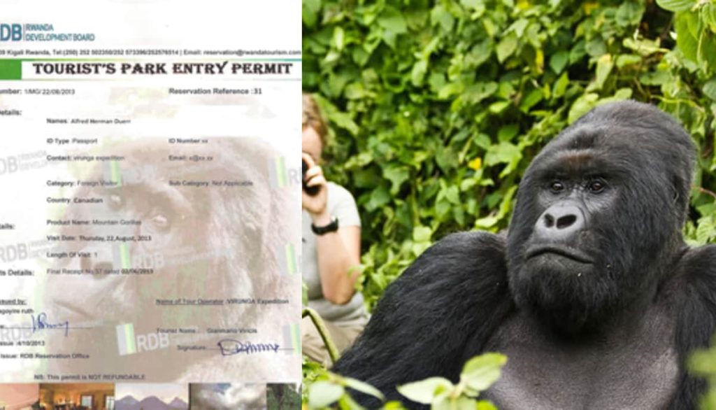How Much is the Gorilla Permit 2025?
