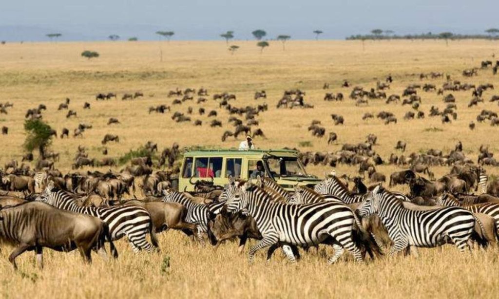 What to Pack for a Safari