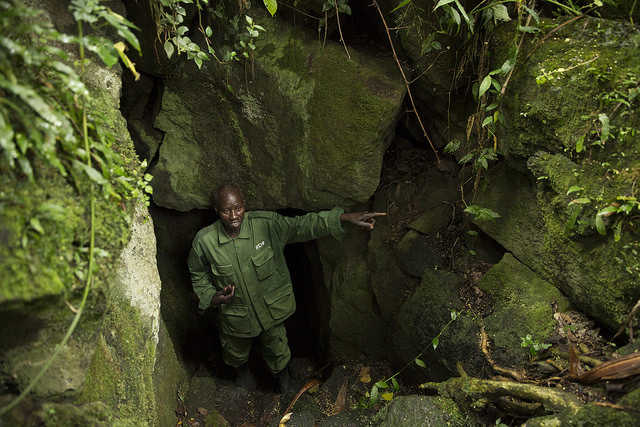 How About Buhanga Eco Park Adventure?