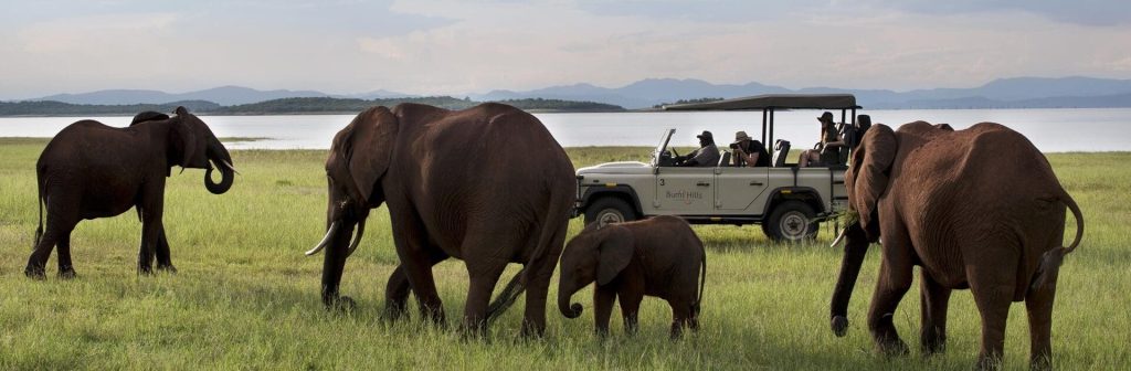 Discover the Magic of the Skies Over Lake Manyara