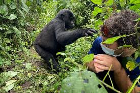 Top Attractions in Bwindi Impenetrable Forest