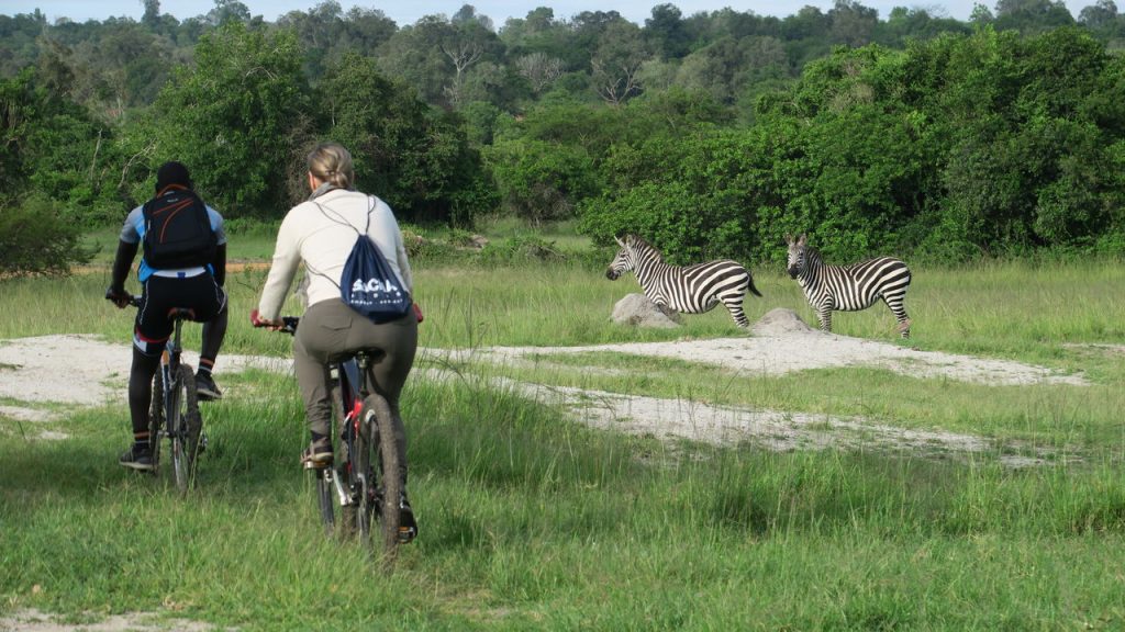 What to do in Lake Mburo National Park?