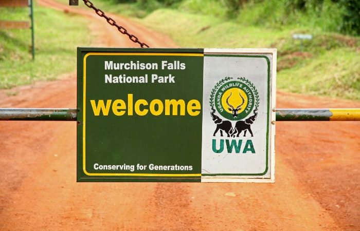 How Much Is the Entrance Fee at Murchison Falls National Park?
