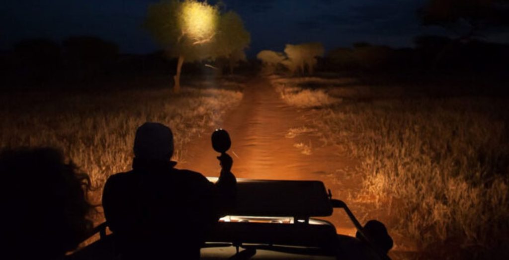 Night Game Drive