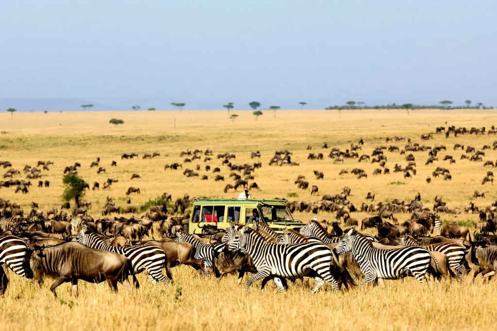 Exploring East Africa’s Ultimate Wildlife Adventure