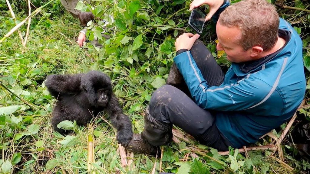 5 Days Rwanda Primates Tour