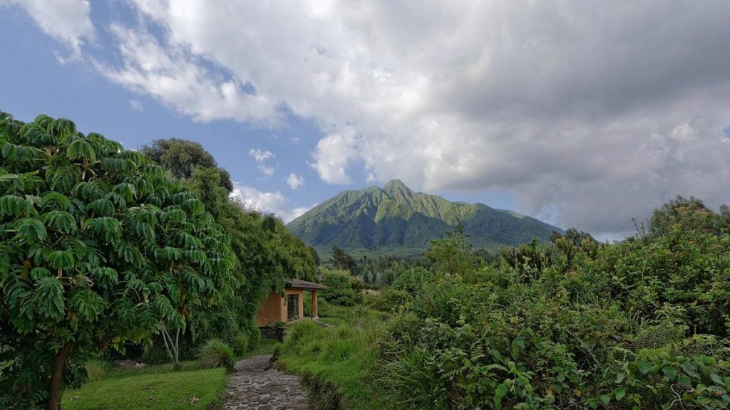 What Are the Best Places to Take a Safari in Rwanda?