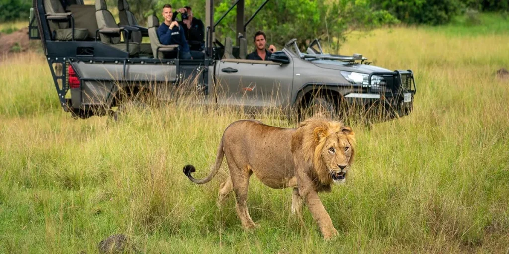 When to Visit East Africa for a Safari?