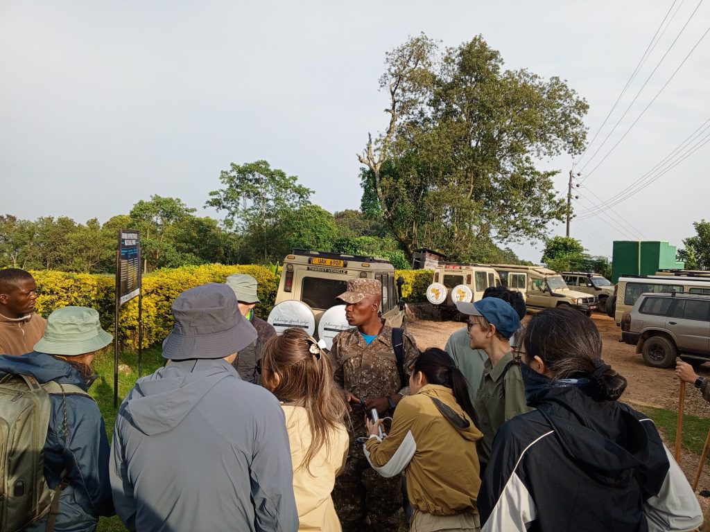 Uganda Gorilla Trekking from Ireland Via Kigali