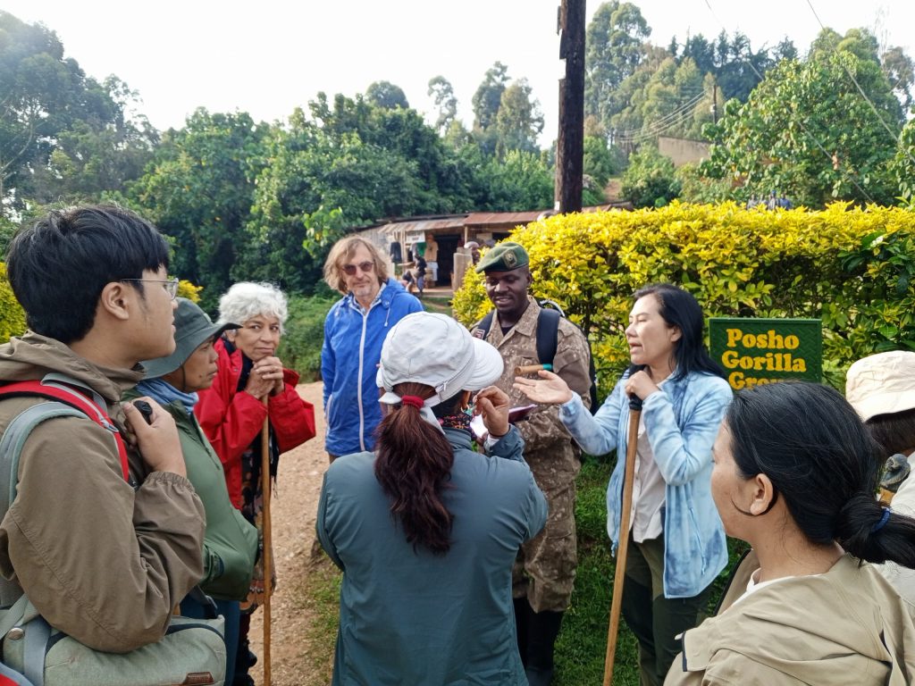 Rwanda Gorilla Trekking from Brazil