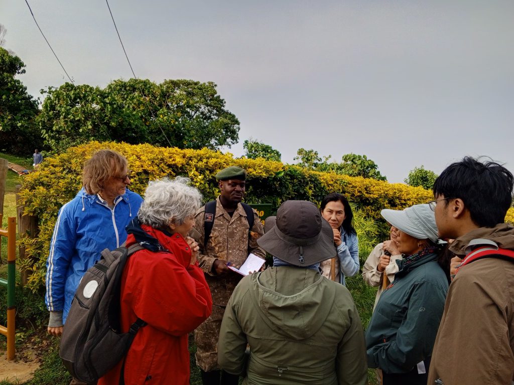 Is it possible to combine Serengeti and Gorilla Trekking in Uganda?