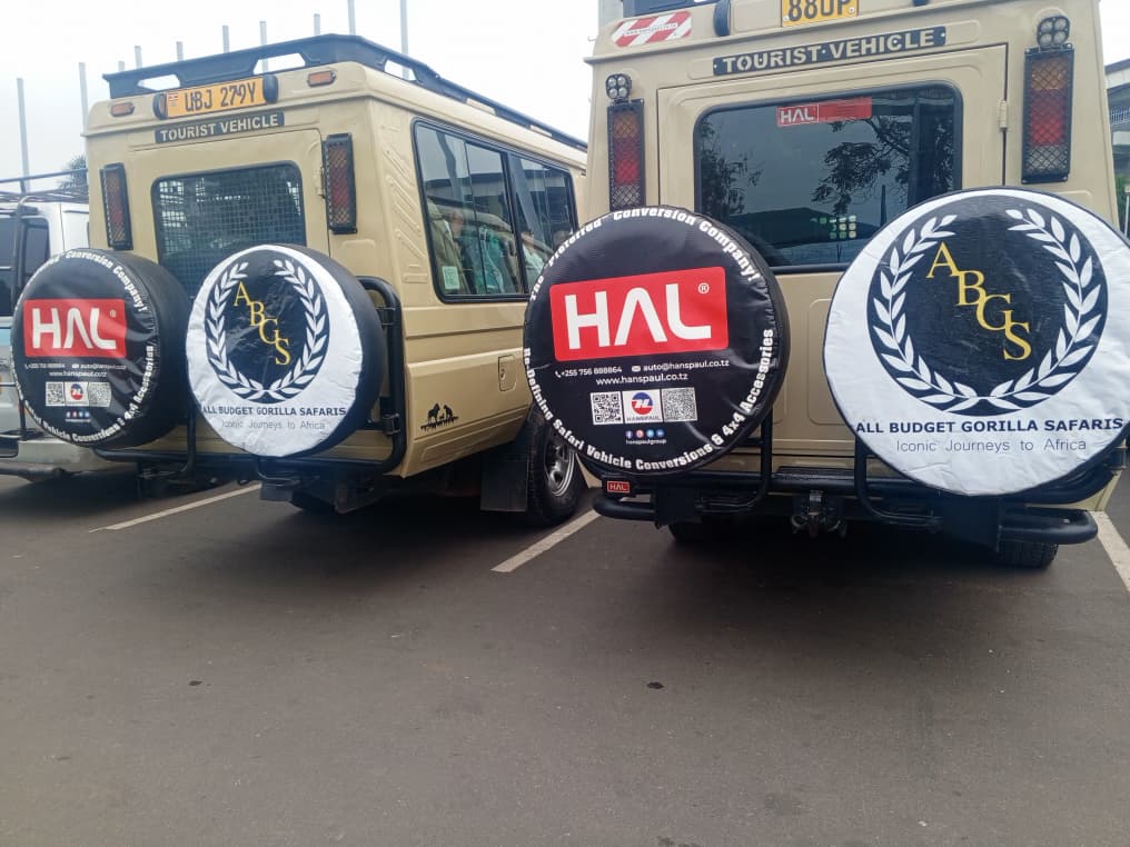 How to Avoid Hidden Costs on Safari