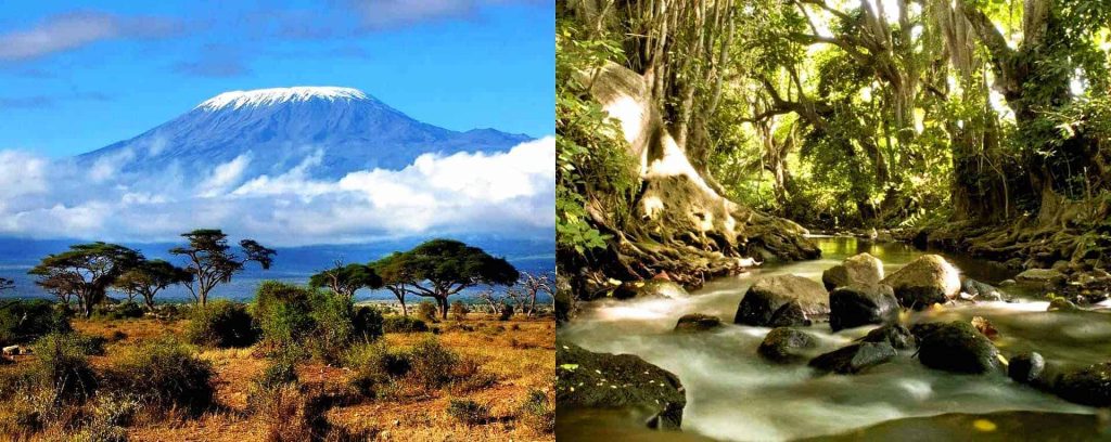 Walking Safari in Tarangire National Park