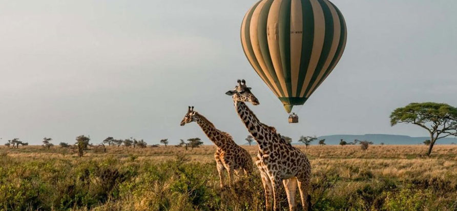 Tanzania Tour Packages