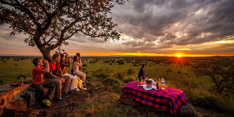 Tanzania Safari from the US – Explore Africa’s Wildlife 2026-2027