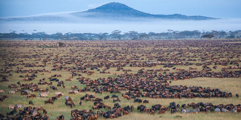 Tanzania National Parks – Exploring the Heart of Africa’s Wilderness