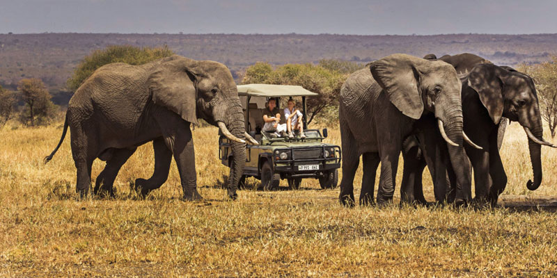 Tanzania Safari from the USA
