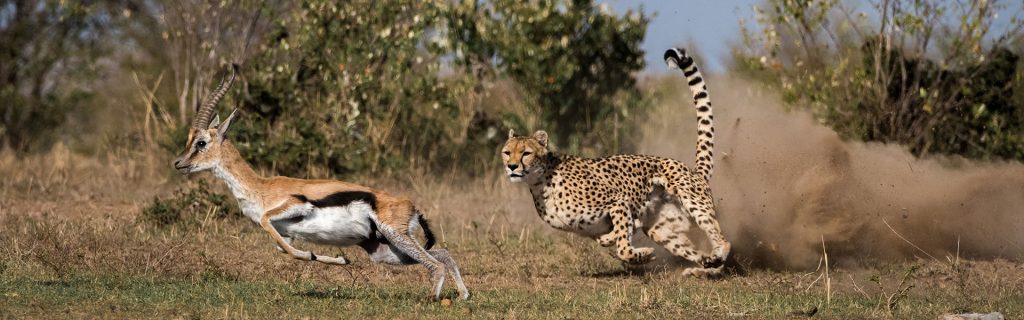 What to Do in Ngorongoro Crater