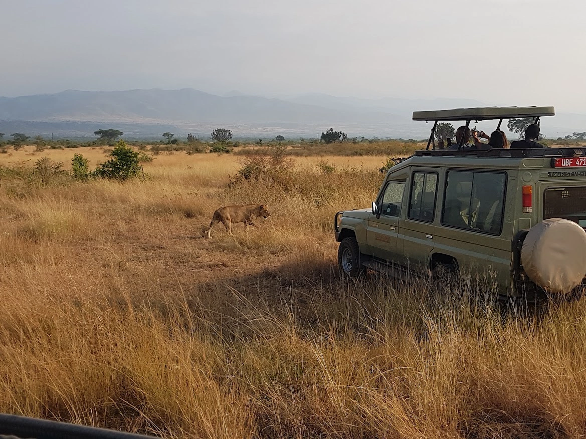 Why 2026 Marks the Rise of the Quiet Safari