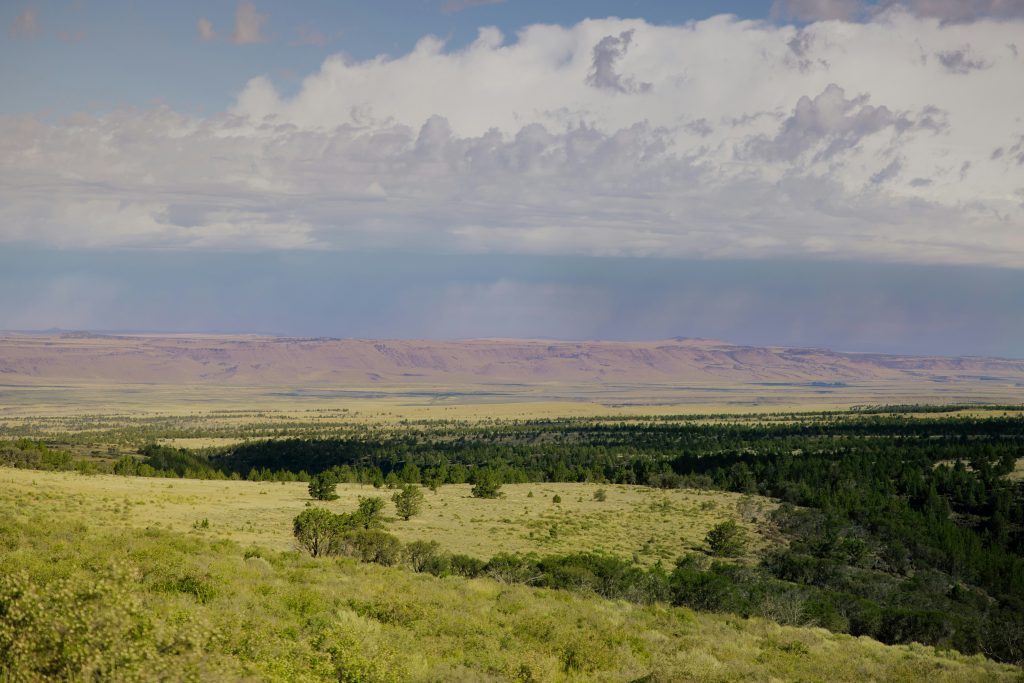 Ol Donyo Sabuk National Park.