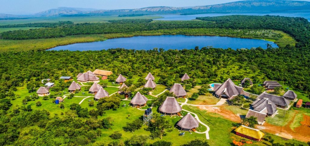 Best Tanzania & Uganda National Parks to Combine for Safari 2026–2027 | Expert Guide