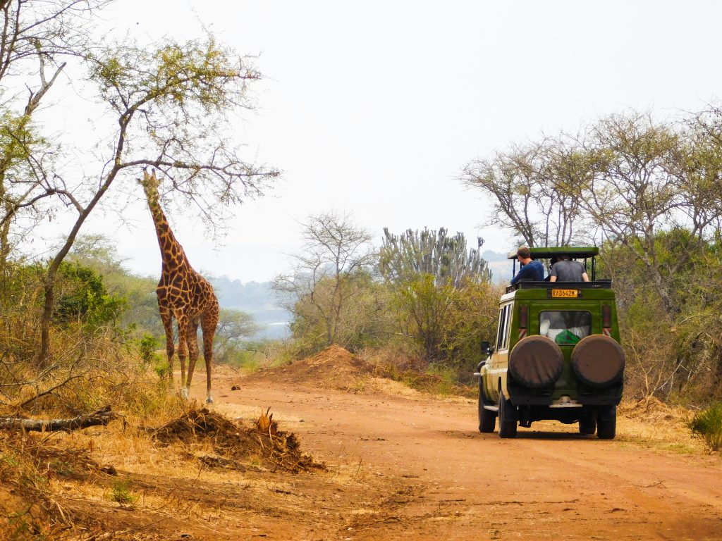 When Is the Best Time to Visit Tarangire National Park?