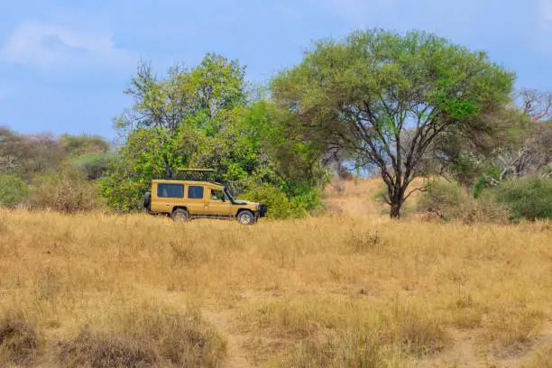 Northern Safari Circuit Tanzania 2026-2030.