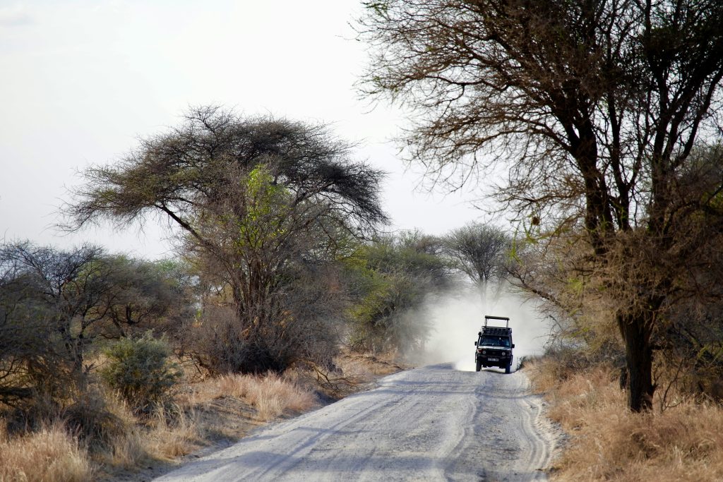 What Are the Entrance Fees for Tarangire National Park?